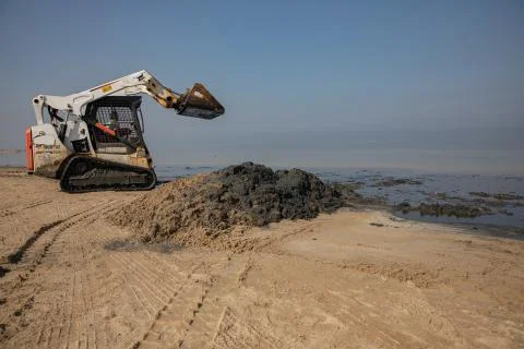 Skid steer loader or bobcat, works to clean the beach Stock Photos