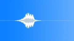 Skid whooshSound Effect