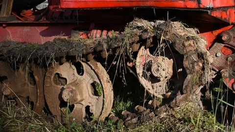 Skidder caterpillar, sunlight Stock Footage 118904849