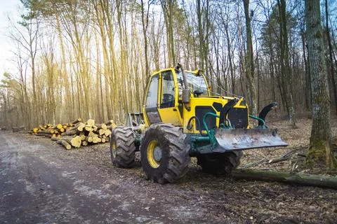 Skidder machine in the forest, spring day Stock Photos