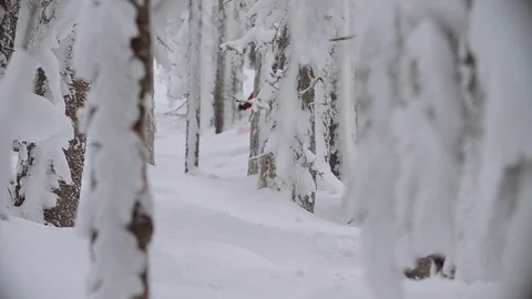 Skier bouncing through deep powder in the trees slow motion Video stock 120050267