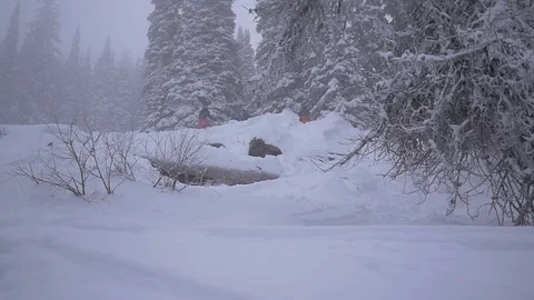 Skier Flying Down Mountain Shredding Snow Stock Footage 122404512