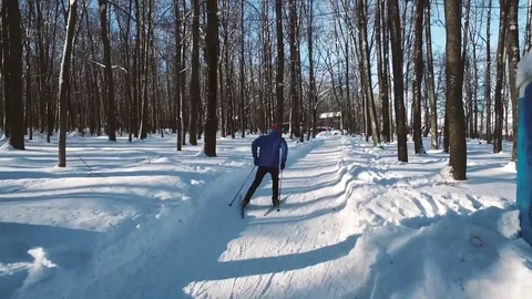 Skier Stock Footage 73366727