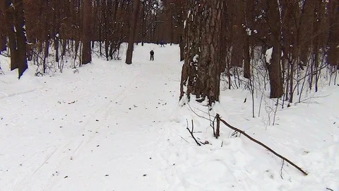 Skier Stock Footage 121733162