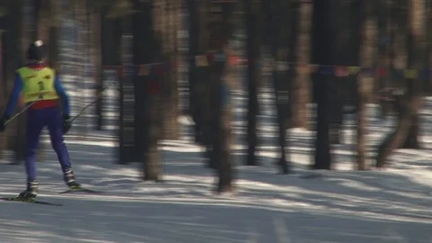 Skier in the forest Stock Footage 103503390