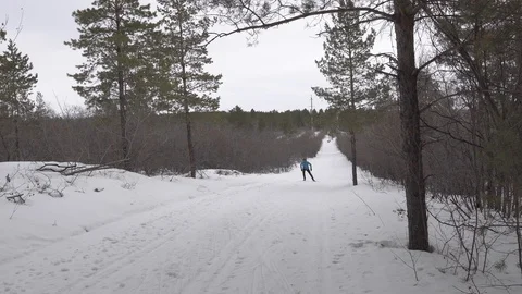 Skier in the forest Vidéo 106596729