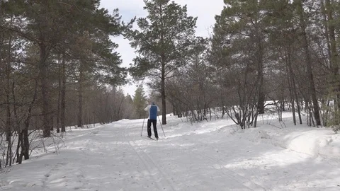 Skier in the forest Stock Footage 106596742