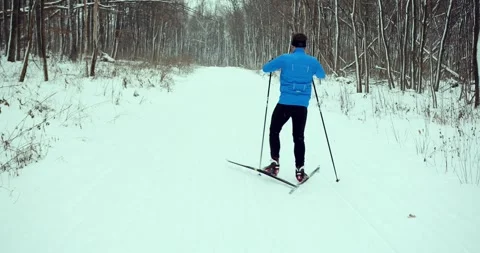 A skier in the forest. A man is doing cross-country skiing. Stock Footage 294680580