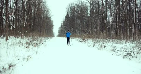 A skier in the forest. A man is doing cross-country skiing. Stock Footage 294680986