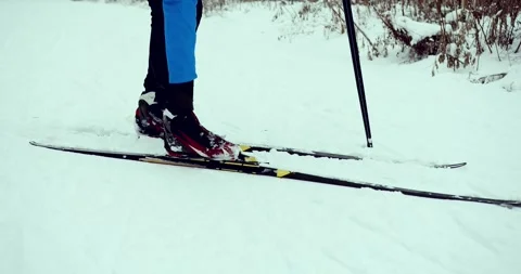 A skier in the forest. A man is doing cross-country skiing. Stock Footage 294681742
