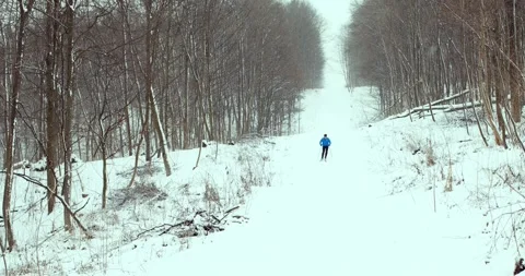 A skier in the forest. A man is doing cross-country skiing. Stock Footage 294685613