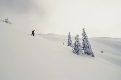 Skier going down ski hill landscape photo Stock-Fotos