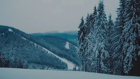 Skier going down the slope at a ski resort in the woods 動画素材 72143780