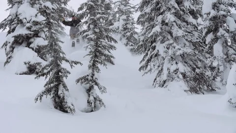 Skier hits double tree gap jumps in powder Video stock 120049109