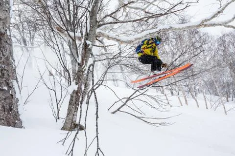 Skier jumping through thick tree branches in the forest of Niseko Mountain in Stock Photos