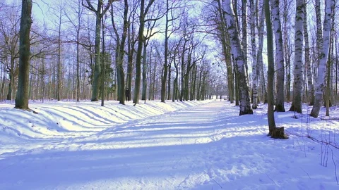 Skier moving on road from camera in park Stock Footage 72869031