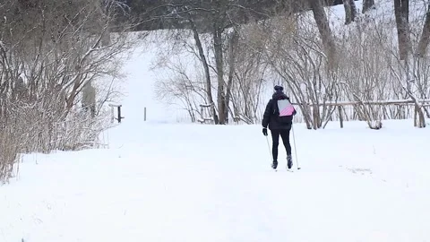 Skier in the park in winter Stock-Footage 313493528