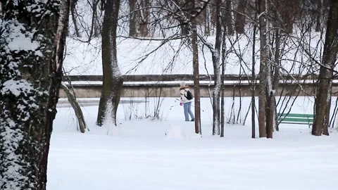 Skier in the park in winter Stock-Footage 313493886