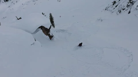 Skier performing tricks in fresh powder snow near cliff Video stock 309966890