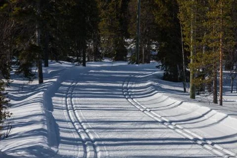 Skier Stock Photos