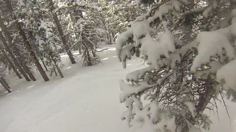 Skier POV navigating trees in slow motion Stock Footage 43615937