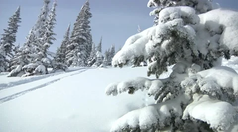 Skier powder turn Stock Footage 8677390