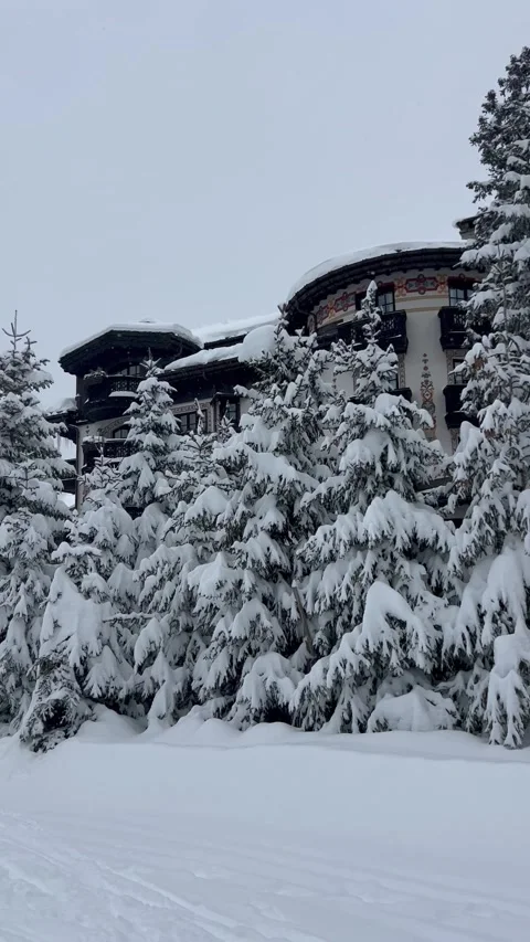 Skier recording while skiing between the snowy pine trees in French alps Stock Footage 334412624