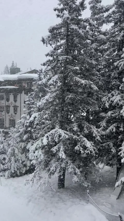 Skier recording while skiing between the snowy pine trees and  hotel French alps Stock Footage 334425572