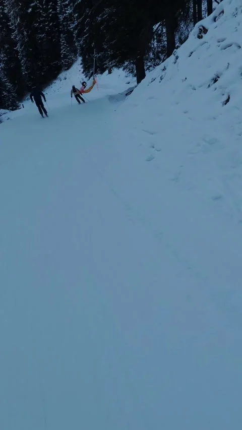 Skier riding between pine trees at the edge of the piste Vídeos de archivo 325783608