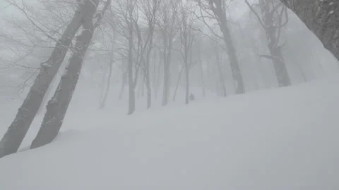 Skier Riding Through Trees in Deep Powder Stock Footage 165624427