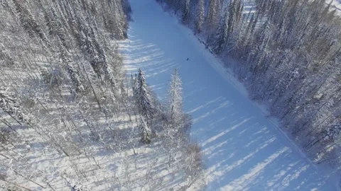 Skier, shooting with quadrocopter Stock-Footage 103306720