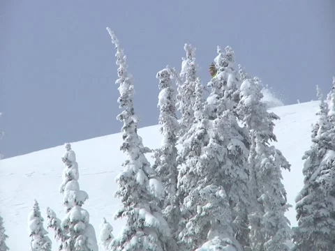 Skier skiing down powder with jump Stock Footage 6674246