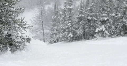 Skier skiing down the snow covered alps Stock Footage 86247870