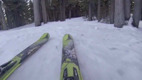 Skier skiing in the forest during winter Stock Footage 83867095