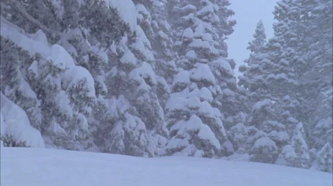 Skier skiing on mountain slope Stock Footage 57814261