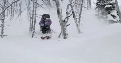 Skier skiing powder down the slope of snow covered trees Stock Footage 86248001