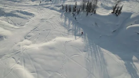 Skier skiing on a snowy plain Vidéo 171573043