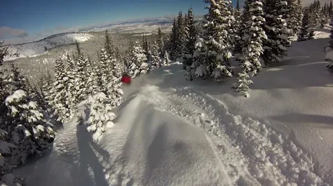 Skier skiing through thick powder in trees 스톡 동영상 45296212