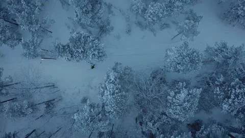 Skier in a snowy forest Video stock 147264350