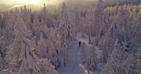 Skier-STATIC-Walking-Hike-Winter-Forest-Aerial Stock Footage 326532394