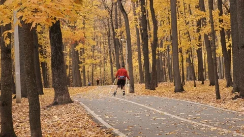 Skier is training in the autumn park at 4k 50fps Stock Footage