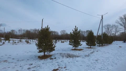 Skier training Video stock 149955880