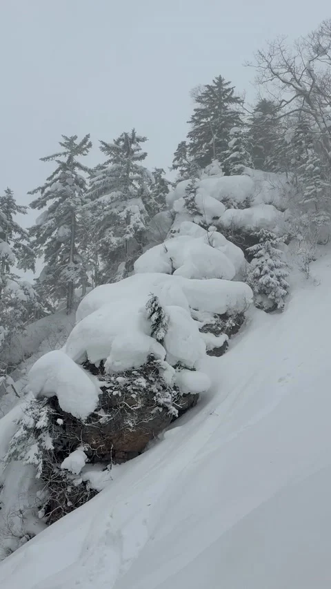 Skier vs Pillow Stack, Hokkaido, Japan - 23 Feb 2026 Stock Footage 329507593