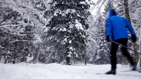 Skier in winter forest Stock Footage 66074662