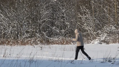 Skier In Winter Forest Stock Footage 89632842