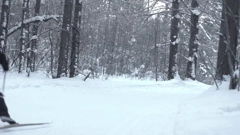 Skier in the woods Stock Footage 71299312