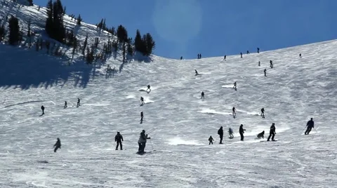 SKIERS DOWN SLOPE Stock Footage 1012100