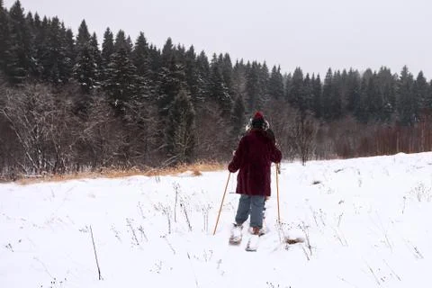 Skiers on the edge of the forest Stock Photos