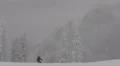 Skiers Fast Free Ride Winter Frozen Forest Mountain Scenery Snow Extreme Sport HD Footage