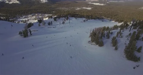 Skiers In The Forest Stock Footage 59322436